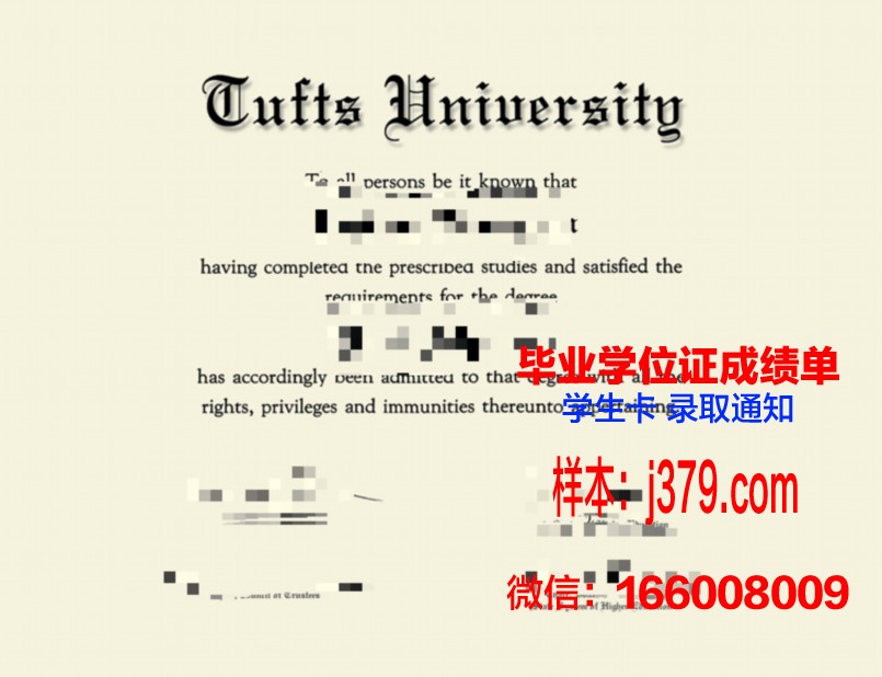 塔夫斯大学毕业证是什么模样(塔夫茨大学smfa)