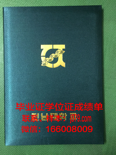 塞萨洛尼基亚里士多德大学毕业证壳子(希腊亚里士多德赛萨尼基大学1)