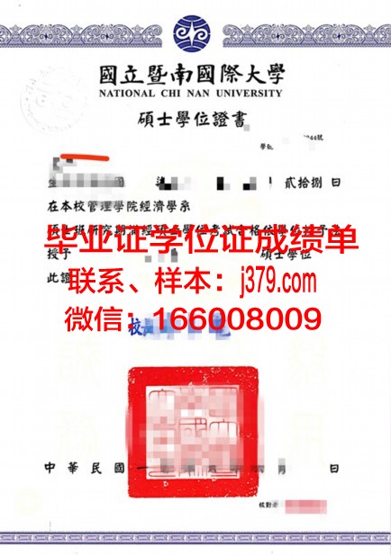 塔林理工大学本科学位证：开启国际职场大门的钥匙