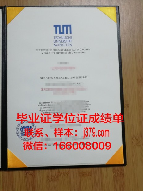 慕尼黑商学院毕业证壳子(德国慕尼黑商学院怎样)