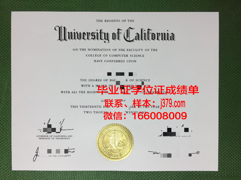 费森尤斯应用技术大学毕业证照片(费森尤斯fkc)