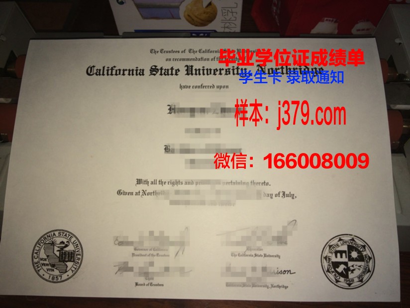 塞基诺州立大学毕业证丢失怎么补办