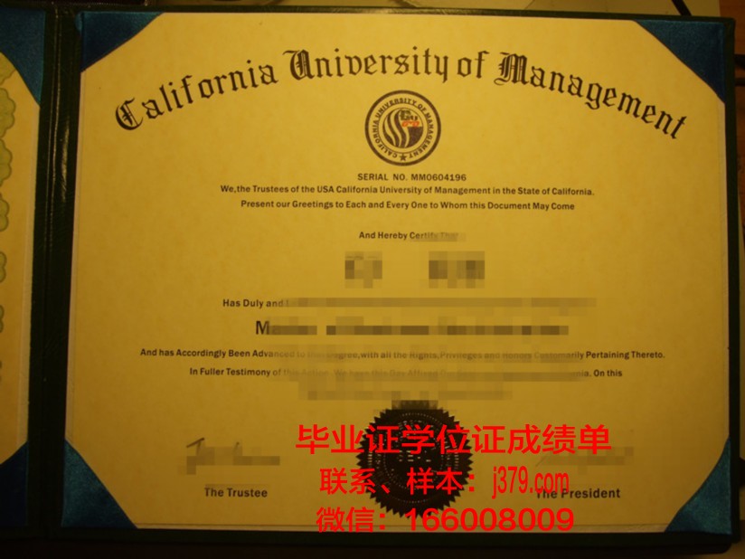 赫尔辛基大学研究生毕业证书(赫尔辛基大学研究生申请条件)