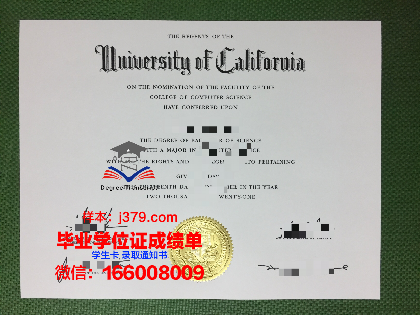 费大学本科毕业证：承载知识与梦想的荣誉证书