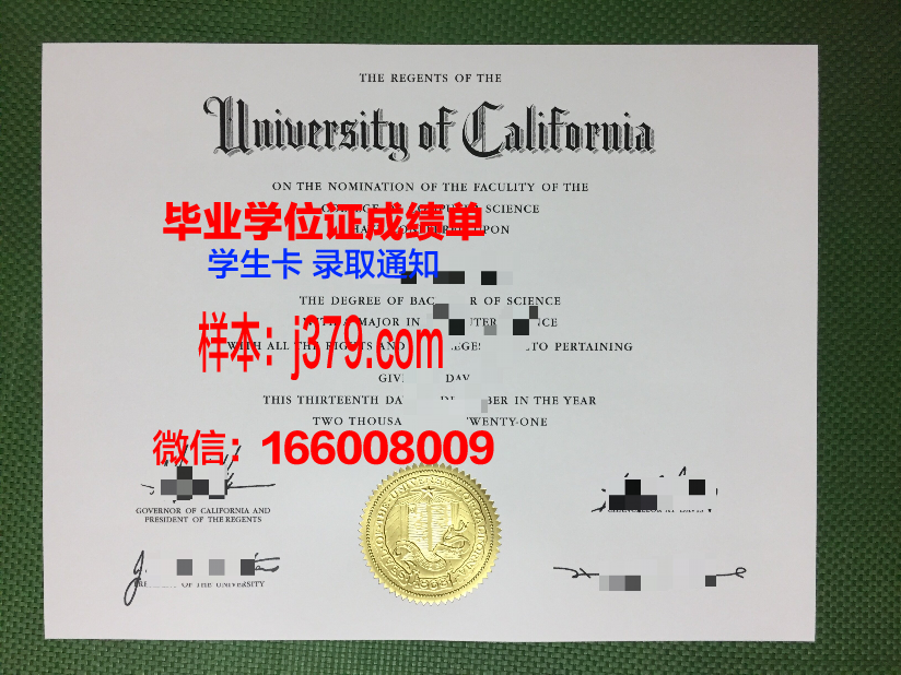 塔什干国立东方研究大学硕士毕业证:开启东西方文化交流新篇章