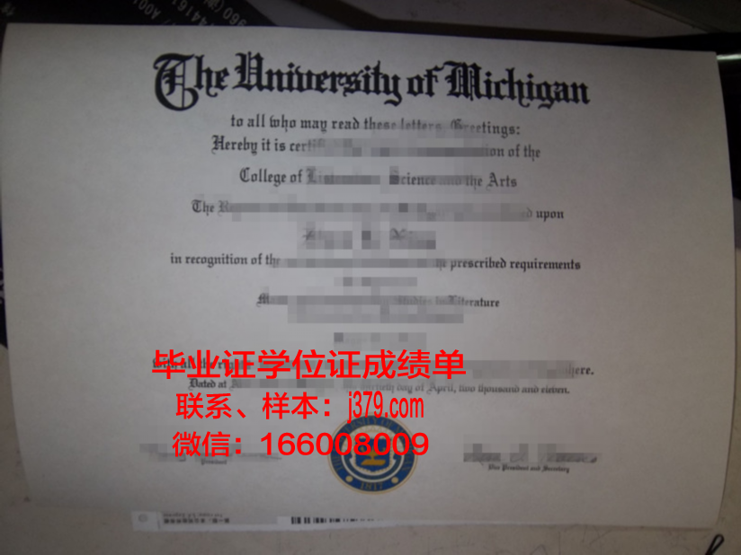 境外大学没有毕业证怎么办(国外大学没毕业怎么办)