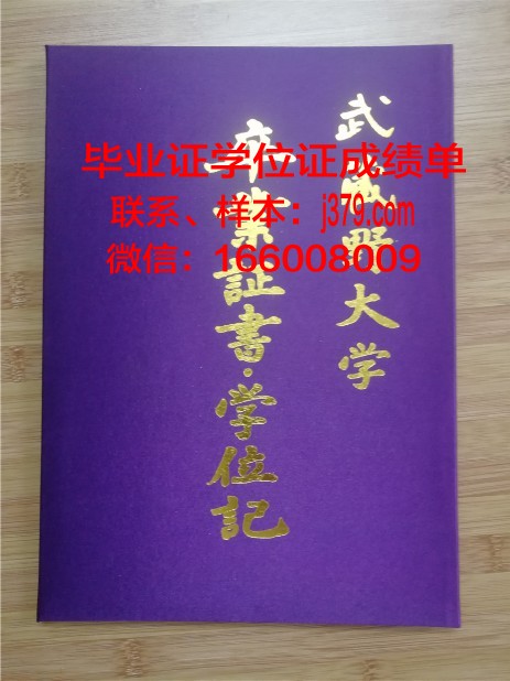 弗拉基米尔国立大学毕业证壳子(弗拉基米尔大学世界排行榜)