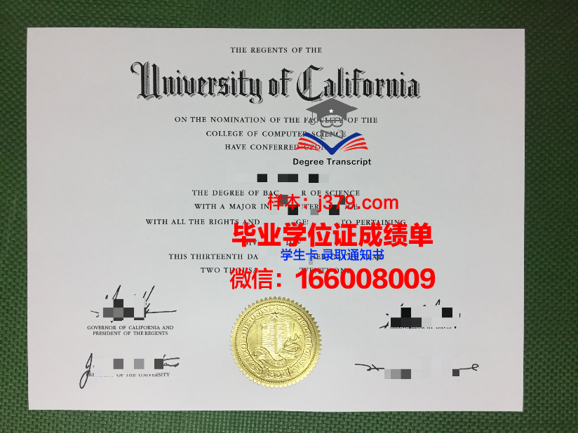 塔戈大硕士毕业证：一张证书背后的故事