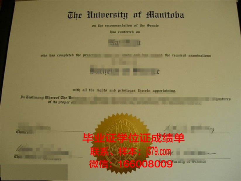 塔马尼成绩单:揭示教育评价的新视角