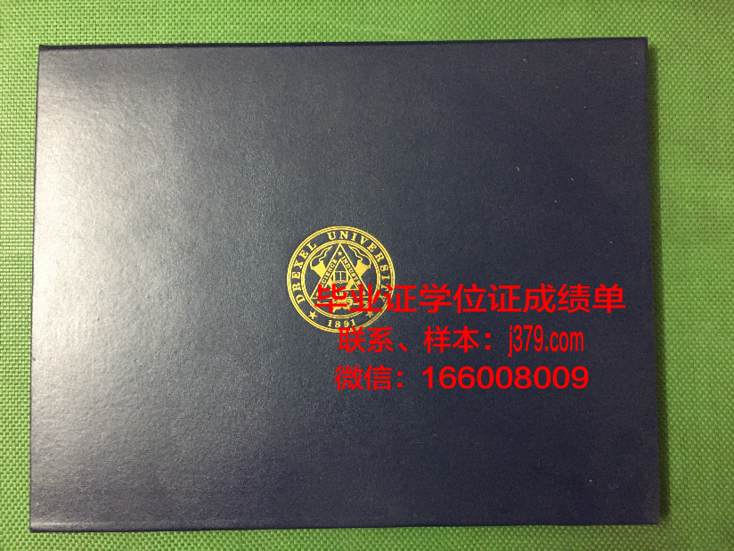 塞尔库克大学学位成绩单定制:探索高等教育认证的合法性边界