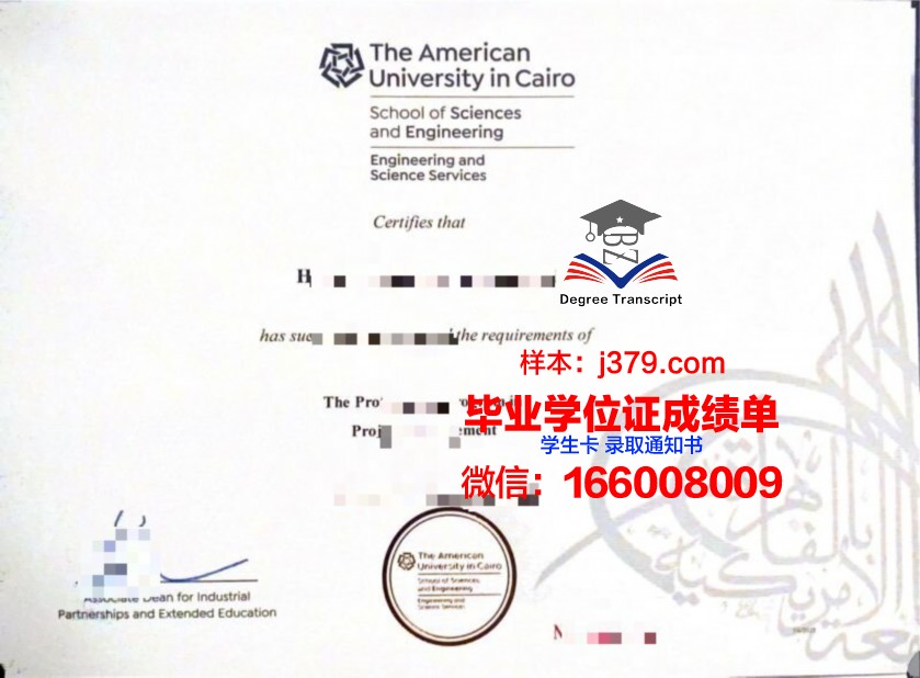 开罗美国大学毕业证真伪(美国大学的毕业证书长什么样)