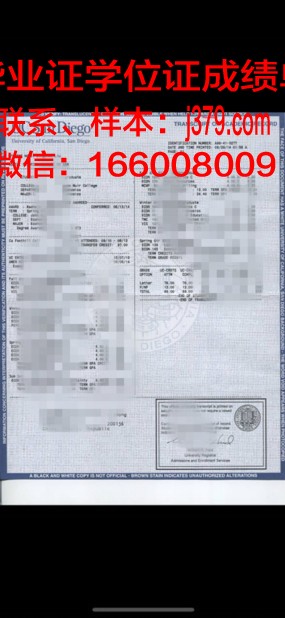 塞塔特哈桑一世大学成绩单