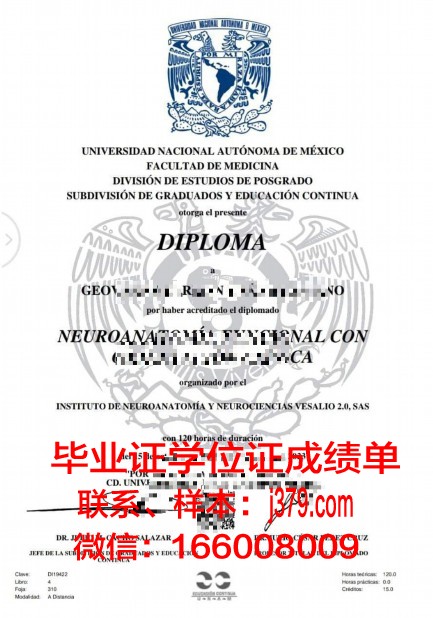 墨西哥巴耶大学毕业证案例(墨西哥ei学院)