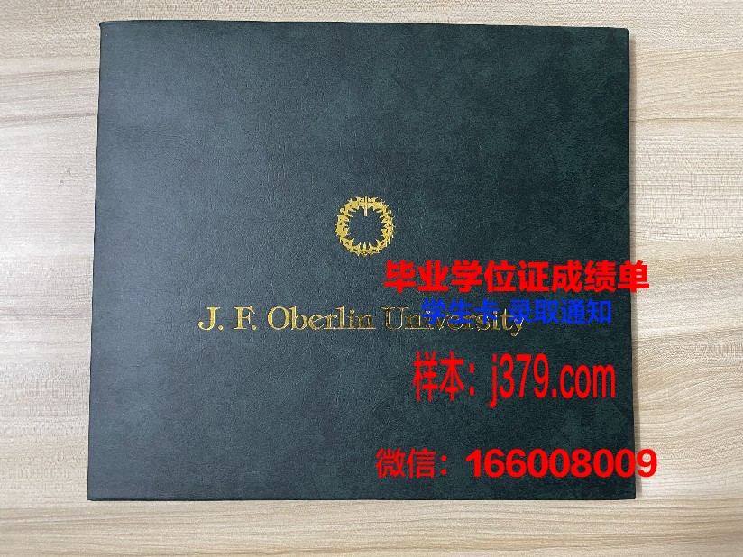 越南岘港大学附属经济大学毕业证