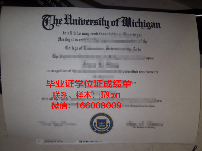 贡达尔大学毕业证模板(达拉纳大学毕业证)