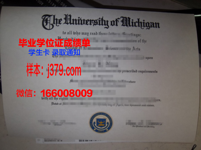 贾伊比信息技术大学的毕业证啥样