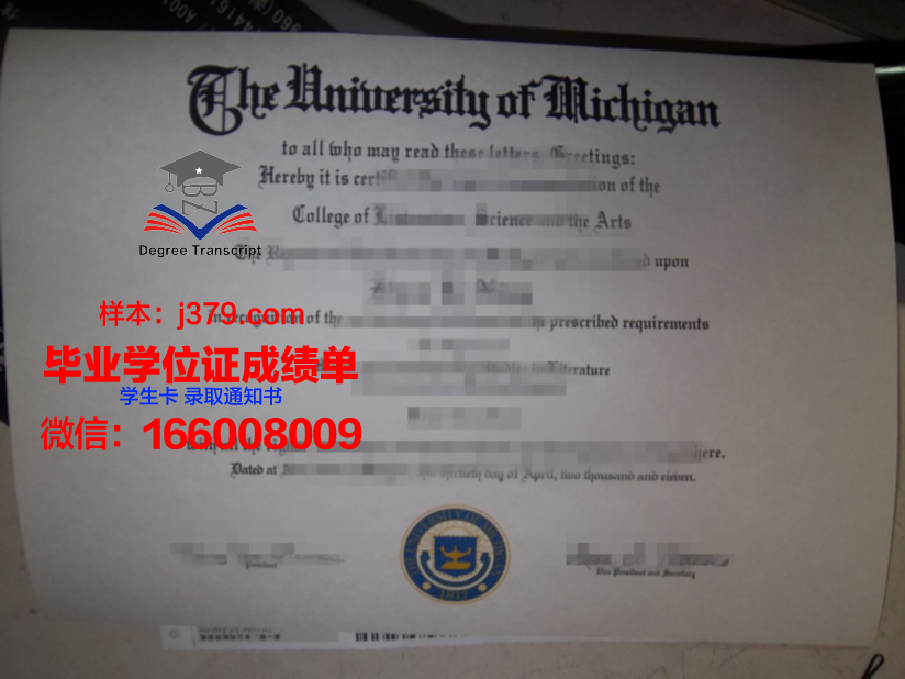 塔拉大学毕业证成绩单:一张纸的重量