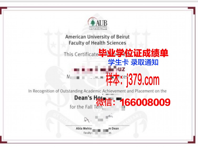 贝鲁特阿拉伯大学博士毕业证