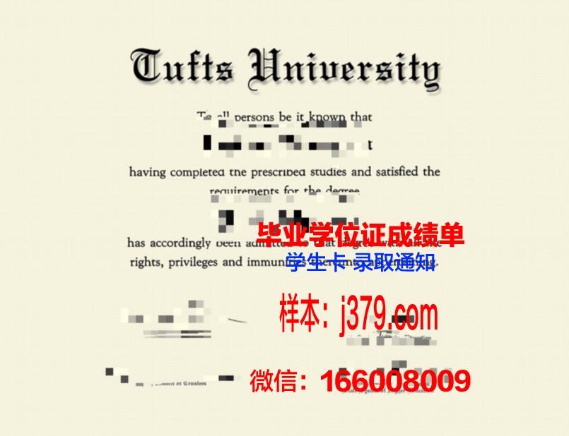 塔夫斯大学毕业证防伪