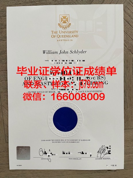 越南岘港大学附属经济大学毕业证:跨国家教育的硕果