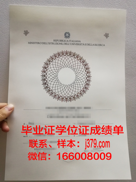 塔图伊技术学院毕业证翻译
