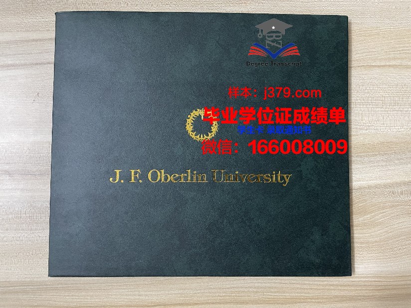 塞萨洛尼基亚里士多德大学毕业证样本(希腊亚里士多德赛萨尼基大学1)