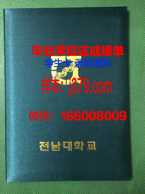 赫尔辛基大学毕业证壳子(赫尔辛基大学专业设置)