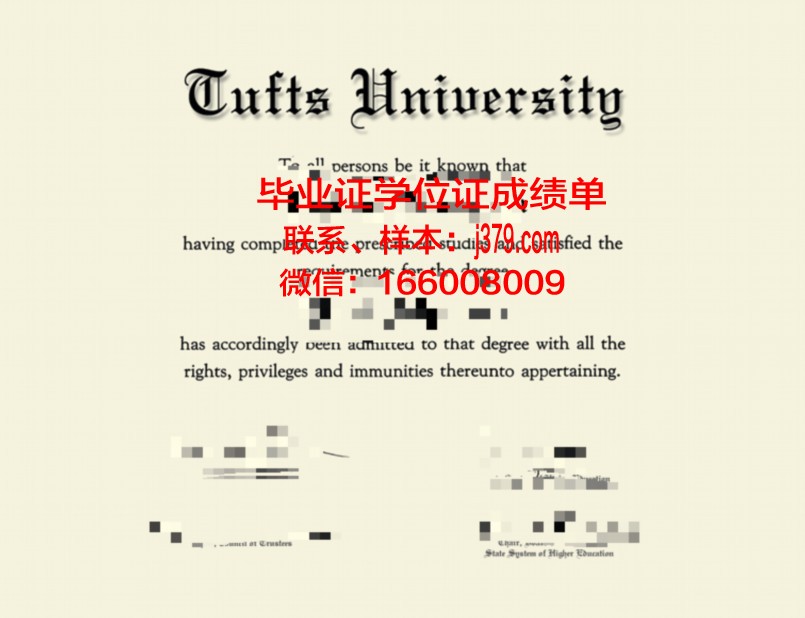 塔夫斯大学毕业证模板 Tufts University Diploma