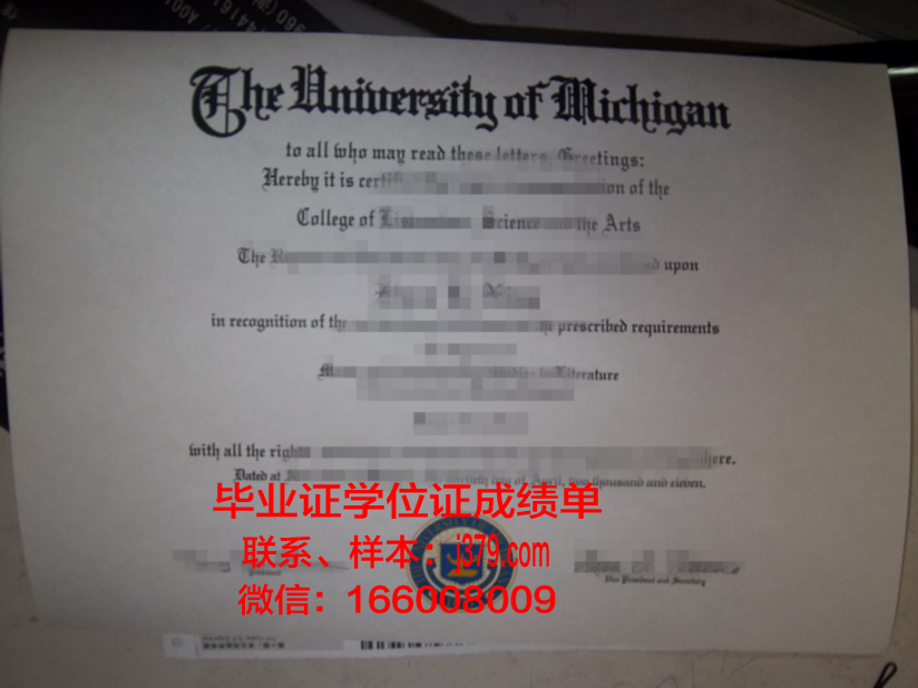 塞塔特哈桑一世大学的毕业证都能做