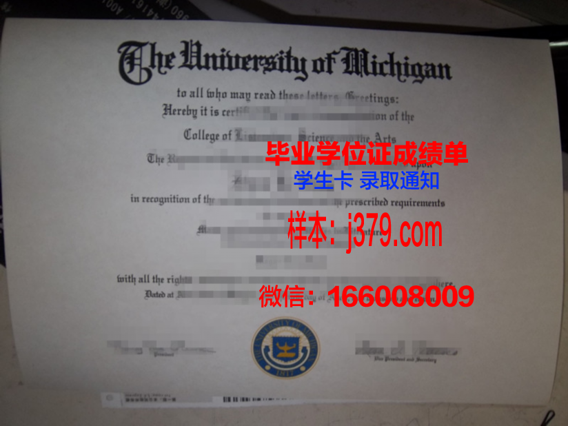塞米巴拉金斯克国立大学毕业证图片(塞巴斯蒂安·米卡利斯图片)
