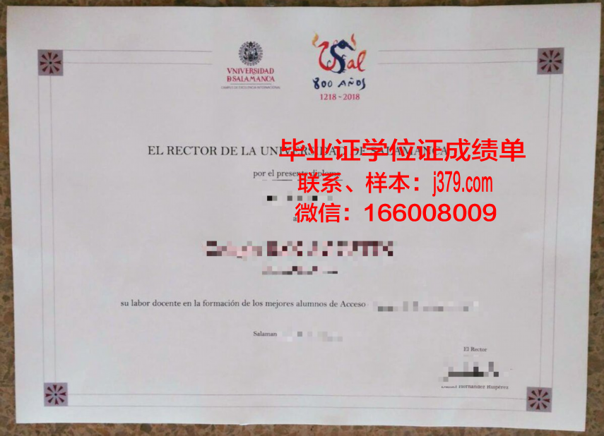 费萨拉巴德农业大学毕业证外壳(费萨拉巴德农业大学孔子学院)