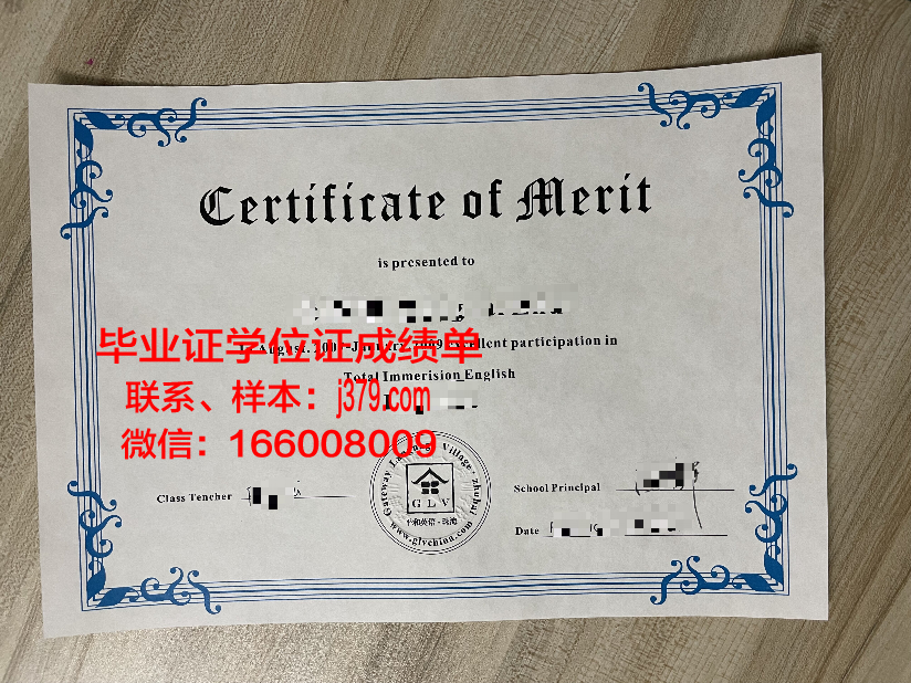 塞塔特哈桑一世大学毕业证书图片模板