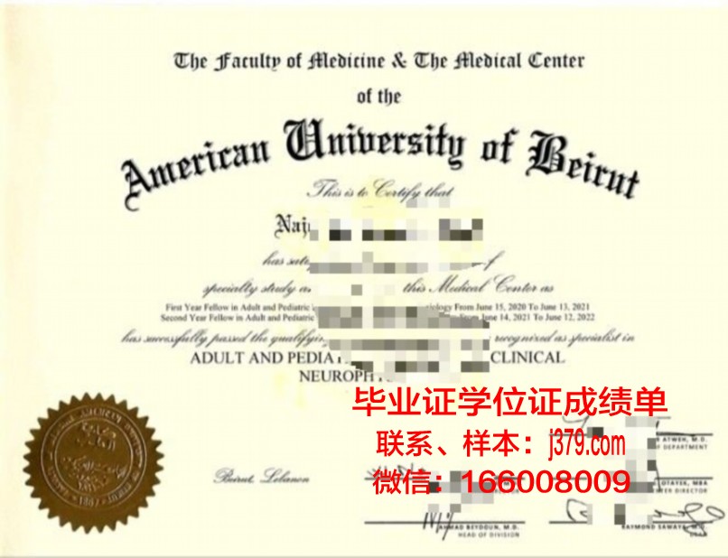 贝鲁特阿拉伯大学毕业证原版