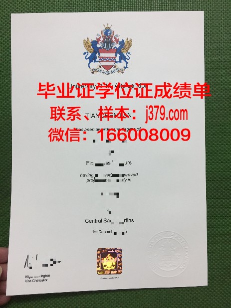 赫尔辛基艺术大学学位成绩单定制:艺术与学术的完美融合
