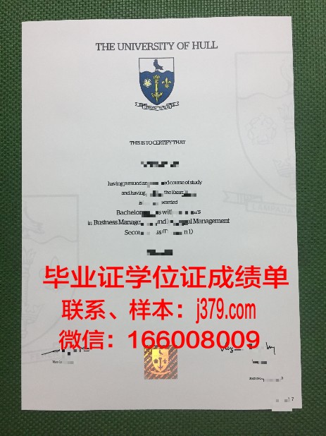 赫罗纳大学毕业证模板(英国赫尔大学毕业证什么样)