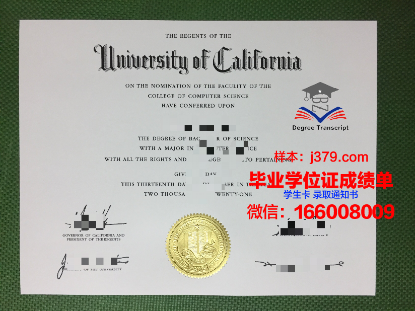塔伊兹大学的毕业证啥样(塔伊兹市)