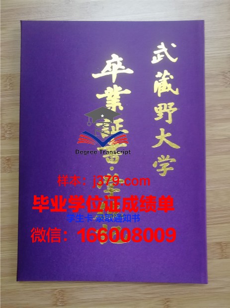 贾伊比信息技术大学毕业证壳子