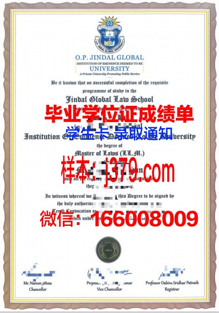 贡达尔大学学位证:承载荣誉与梦想的证书