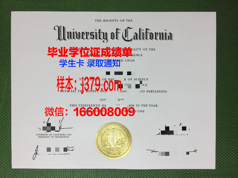 贾伊恩大学博士毕业证：一张纸背后的荣耀与责任