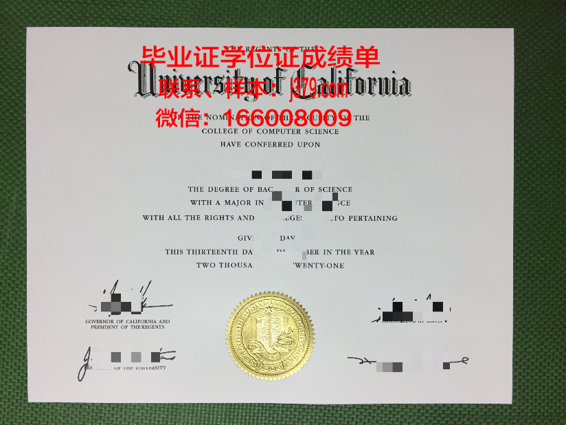 费希塔迪普霍尔茨应用技术大学毕业证什么样子