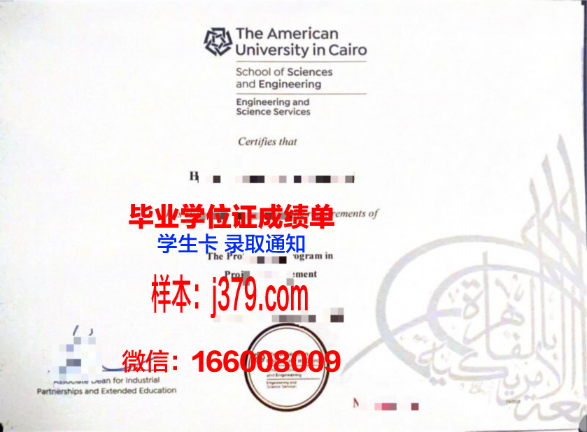 开罗美国大学毕业证真伪(美国大学的毕业证书长什么样)