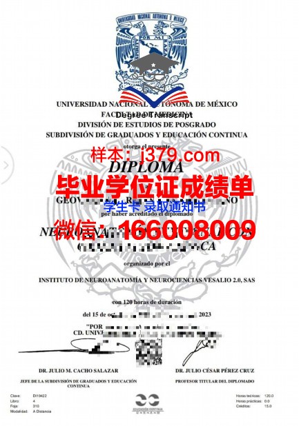 墨西哥巴耶大学文凭(墨西哥本科留学)