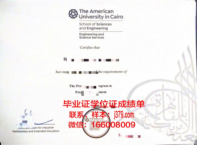 开罗美国大学毕业证长什么样(开罗大学英文)