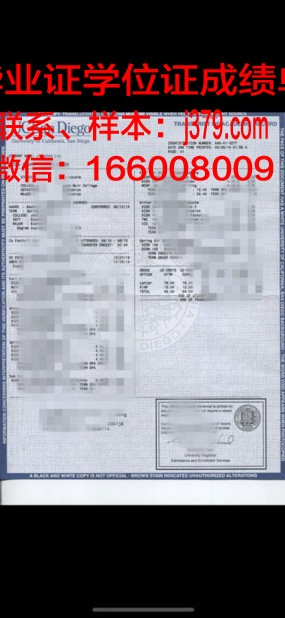 成绩单S是什么：揭开其神秘面纱