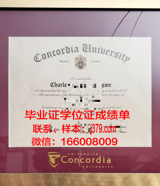 康考迪亚大学圣保罗分校毕业证好找工作吗(康考迪亚大学官网中文)