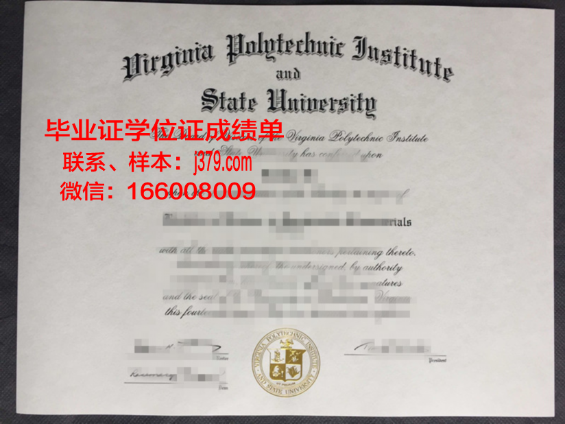 弗吉尼亚理工成绩单:一份展示卓越教育质量的证明
