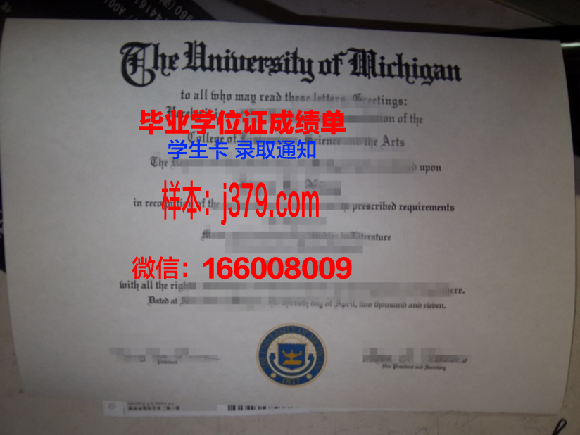 康塞普西翁大学毕业证成绩单:一张纸的重量
