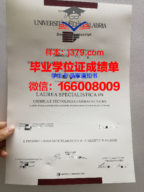 意大利学位授予单位(意大利毕业证和学位证是分开的吗)