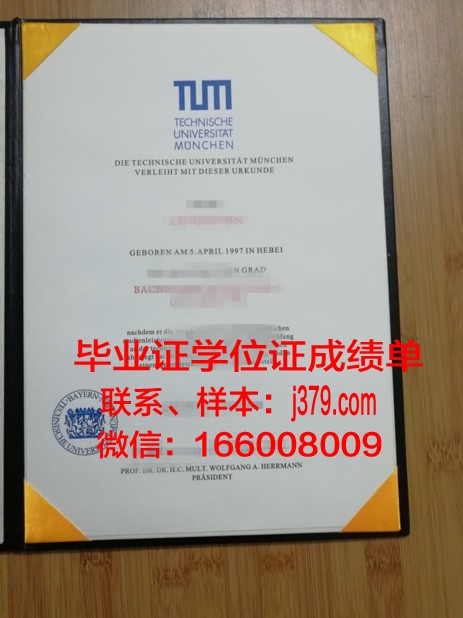慕尼黑媒体学院毕业证书多久收到(慕尼黑大学毕业证书)