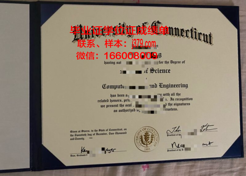 康涅狄格大学毕业证书(康涅狄格大学本科)